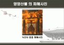 우리나라 대형산불 10페이지