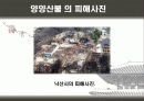 우리나라 대형산불 11페이지