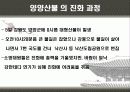 우리나라 대형산불 12페이지