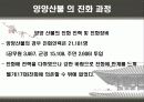 우리나라 대형산불 13페이지