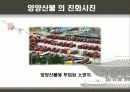 우리나라 대형산불 14페이지