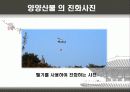 우리나라 대형산불 15페이지