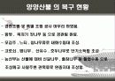 우리나라 대형산불 16페이지