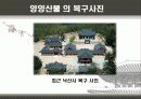 우리나라 대형산불 17페이지