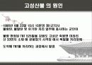 우리나라 대형산불 19페이지