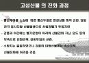 우리나라 대형산불 22페이지