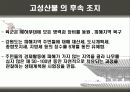 우리나라 대형산불 24페이지