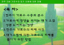 전주 지방 가로수의 대기 오염에 의한 피해 2페이지