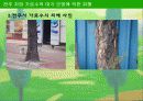 전주 지방 가로수의 대기 오염에 의한 피해 8페이지