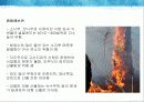 산불과 산림의 관계 9페이지