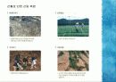 산불과 산림의 관계 15페이지