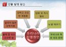우리나라사찰천연기념물주변산불방지방법 3페이지