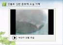 우리나라사찰천연기념물주변산불방지방법 5페이지