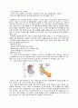 CRF케이스 3페이지