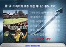  기업의 스포츠마케팅 사례 - 기아차 현대차 폴로랄프로렌 5페이지
