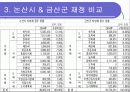 논산시 금산군 재정 비교 11페이지