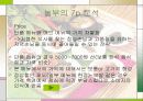 놀부  마케팅사례분석 5페이지
