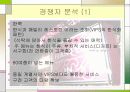 놀부  마케팅사례분석 12페이지