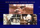 구제역의 올바른 이해와 대응 13페이지