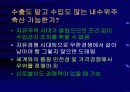구제역의 올바른 이해와 대응 28페이지