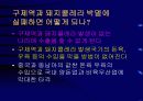 구제역의 올바른 이해와 대응 29페이지