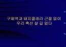 구제역의 올바른 이해와 대응 31페이지