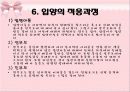 입양가족의 문제 입양가족을 위한 가족복지 프로그램 및 개선과제 13페이지