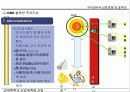 Knowledge Management (지식경영)에  대한 이해와  추진방법 20페이지