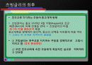 스위스 개혁운동의 확산과 츠빙글리의 최후 13페이지
