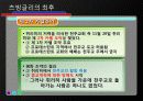 스위스 개혁운동의 확산과 츠빙글리의 최후 15페이지
