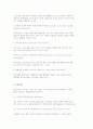 시각커뮤니케이션과 브랜드 심볼 및 선도브랜드와 후발브랜드 5페이지