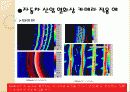 열화상카메라 8페이지