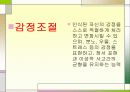 감성교육 활동이 유아의 정서지능에미치는 영향 10페이지