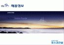 포스코_기업분석 28페이지