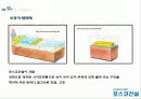 포스코_기업분석 60페이지