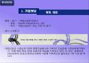 엘리트15기건설대림산업기업분석 3페이지