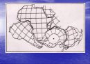 판구조론PlateTectonics 3페이지