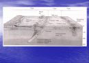 판구조론PlateTectonics 24페이지