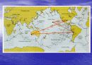 판구조론PlateTectonics 27페이지