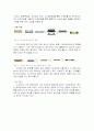 기업분석보고서 5페이지