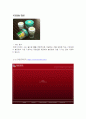 기업분석보고서 11페이지