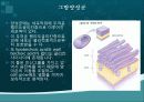 그람 양성균 음성균 5페이지