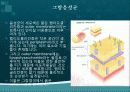 그람 양성균 음성균 6페이지