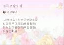 사회복지개론의_노인복지[1] 15페이지