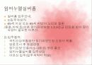 사회복지개론의_노인복지[1] 31페이지