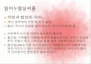 사회복지개론의_노인복지[1] 33페이지