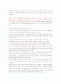 중국 소비자 분석 4페이지
