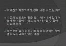 뉴 스포츠 16페이지