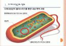 [다제내성균]슈퍼박테리아로 인한 문제와 향후 전망 PPT자료 3페이지