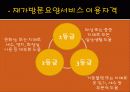 사회복지개론_발표2 19페이지